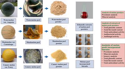 Physicochemical and phytochemical analysis of three melon fruit (canary melon, watermelon, and muskmelon) peels, and their valorization in biscuits development